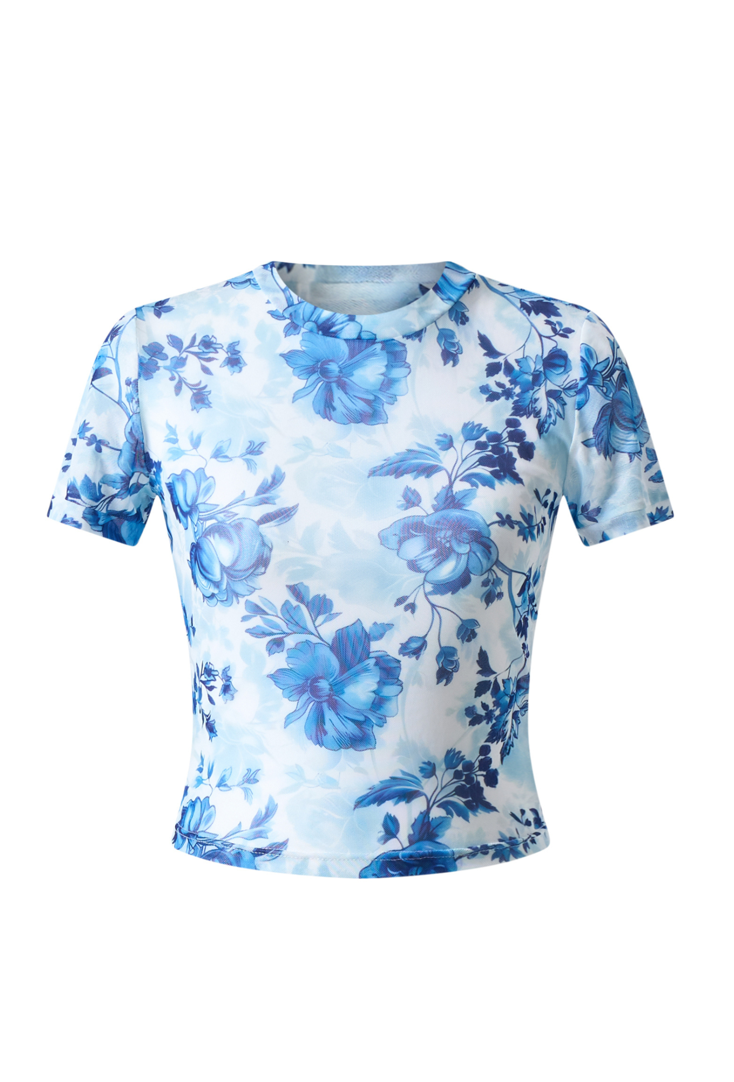 EDEN Floral Mesh Print Top in Blue