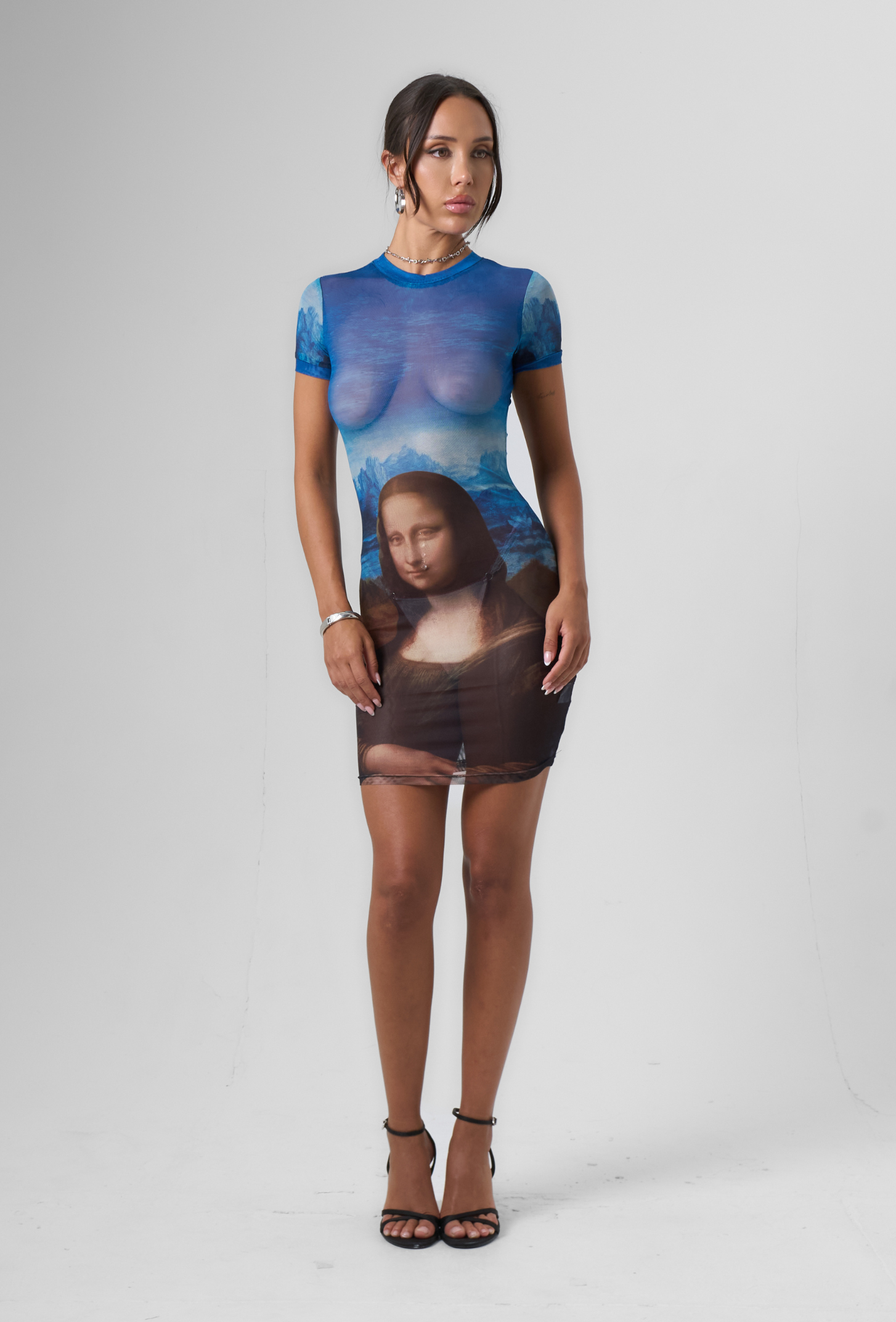 Mesh Print Mini Dress in Blue